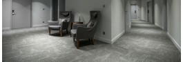 Moss | Modulyss 44
